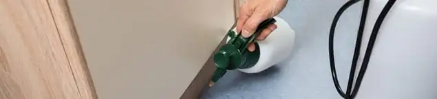 Bed bug exterminator treating baseboards and cracks with targeted spray in Manchester, NH