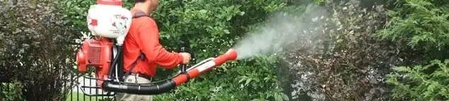 Mosquito control technician fogging shrubs and landscaping for mosquito treatment in Manchester, NH