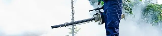 Pest control technician fogging an outdoor area for insect control in Manchester, NH