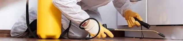 Roach exterminator treating cracks and crevices along kitchen baseboards in Manchester, NH