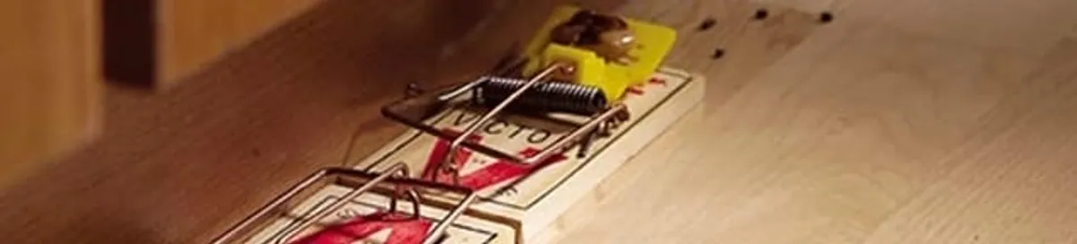 Rodent trap set indoors for rodent control and prevention in Manchester, NH